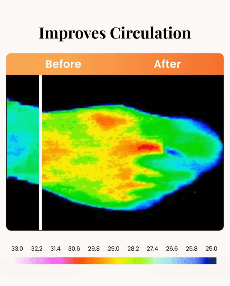 Joint pain care cream