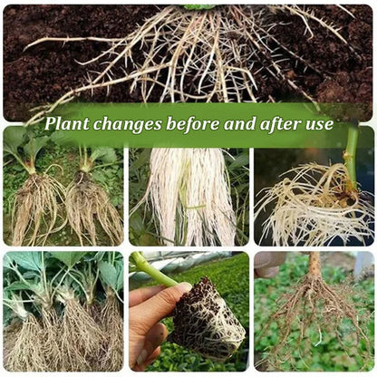 [Universal Plant] Powerful Root Growth Solution - Give your plants a strong foundation for growth!